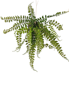 Greenmoods Kunstig Hengende Bregne på ball 45cm