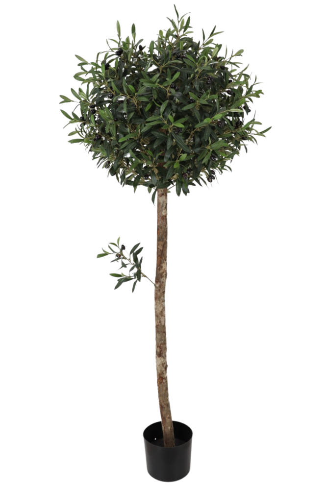 Greenmoods Kunstig Oliventre 150cm UV