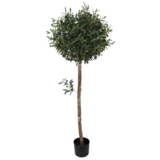 Greenmoods Kunstig Oliventre 150cm UV Greenmoods Kunstig Oliventre 150cm UV