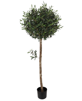 Greenmoods Kunstig Oliventre 150cm UV Greenmoods Kunstig Oliventre 150cm UV
