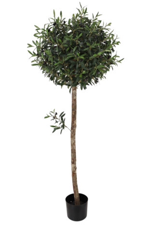 Greenmoods Kunstig Oliventre 150cm UV