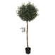 Greenmoods Kunstig Oliventre 150cm UV
