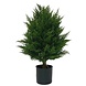 Greenmoods Kunstig Tuja Deluxe UV 40cm