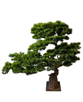 Greenmoods Kunstige Bonsai Furu 92cm UV Greenmoods Kunstige Bonsai Furu 92cm UV