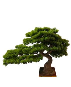 Greenmoods Kunstige Bonsai Furu 55cm UV Greenmoods Kunstige Bonsai Furu 55cm UV