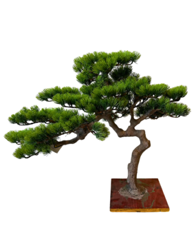 Greenmoods Kunstige Bonsai Furu 53cm UV Greenmoods Kunstige Bonsai Furu 53cm UV