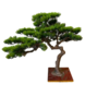 Greenmoods Kunstige Bonsai Furu 53cm UV