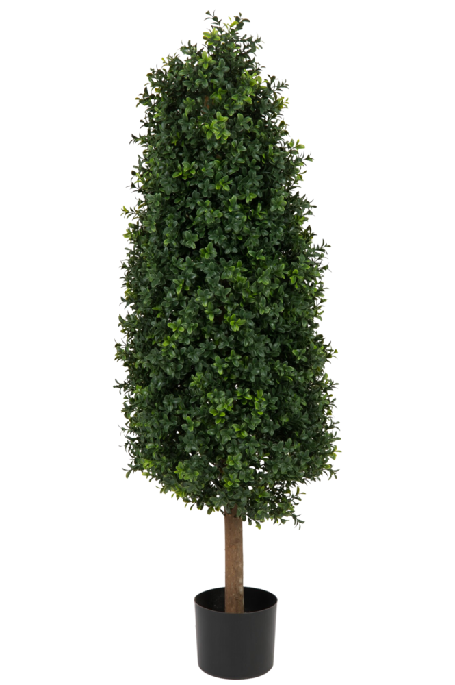 Greenmoods Kunstig Buksbom Pyramide Romerstil UV 120cm