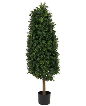 Greenmoods Kunstig Buksbom Pyramide Romerstil UV 120cm Greenmoods Kunstig Buksbom Pyramide Romerstil UV 120cm
