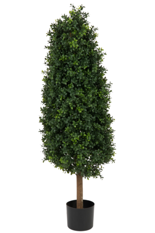 Greenmoods Kunstig Buksbom Pyramide Romerstil UV 120cm