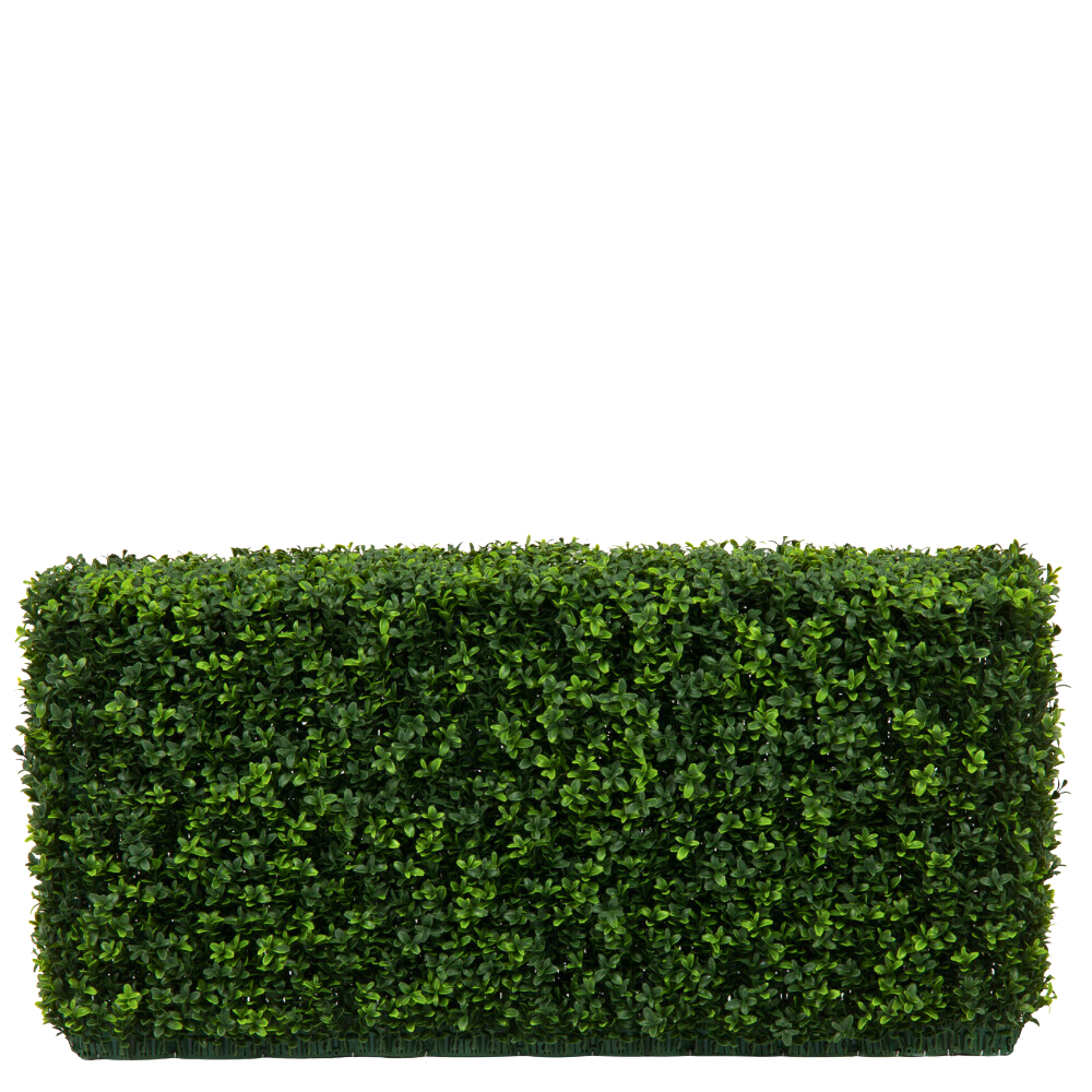 Greenmoods Kunstig Buksbom Hekk Romerstil  100x20x50cm