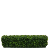 Greenmoods Kunstig Buksbom Hekk Romerstil 100x20x25cm Greenmoods Kunstig Buksbom Hekk Romerstil 100x20x25cm
