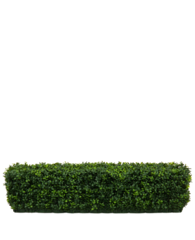 Greenmoods Kunstig Buksbom Hekk Romerstil 100x20x25cm Greenmoods Kunstig Buksbom Hekk Romerstil 100x20x25cm
