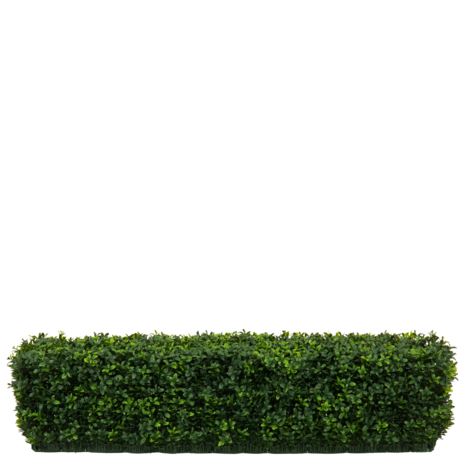 Greenmoods Kunstig Buksbom Hekk Romerstil  100x20x25cm