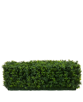 Greenmoods Kunstig Buksbom Hekk Romerstil 70x20x25cm Greenmoods Kunstig Buksbom Hekk Romerstil 70x20x25cm
