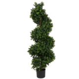 Greenmoods Kunstig Buksbom Spiral Romerstil UV 120cm Greenmoods Kunstig Buksbom Spiral Romerstil UV 120cm