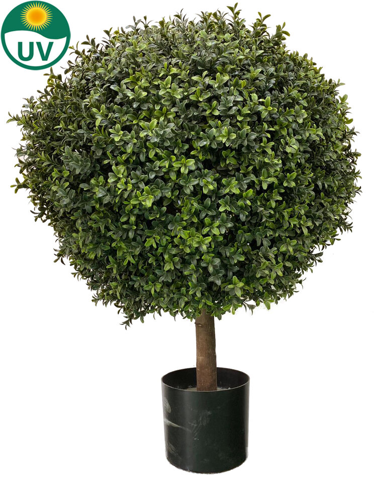 Greenmoods Kunstig Buksbom Ball På Stamme Romerstil 85cm
