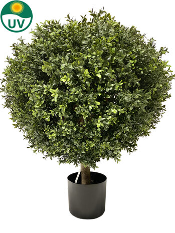 Greenmoods Kunstig Buksbom Ball På Stamme Romerstil 75cm