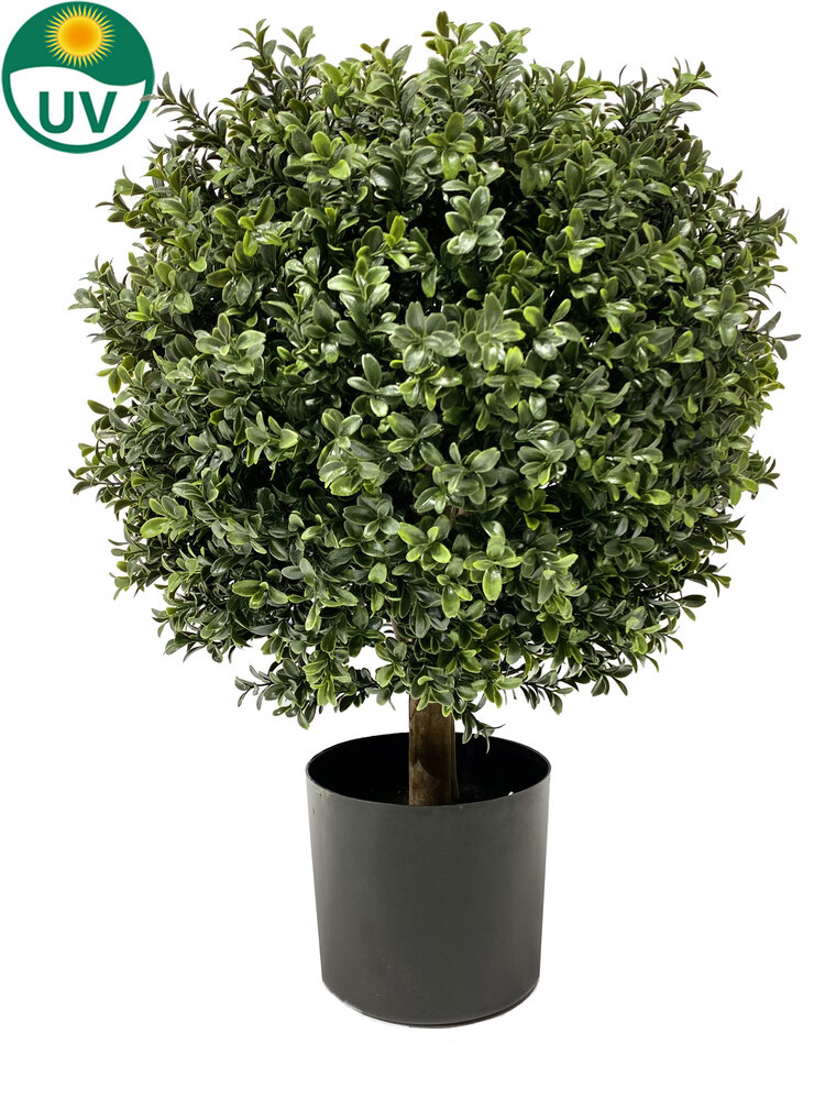 Greenmoods Kunstig Buksbom Ball På Stamme Romerstil 65cm