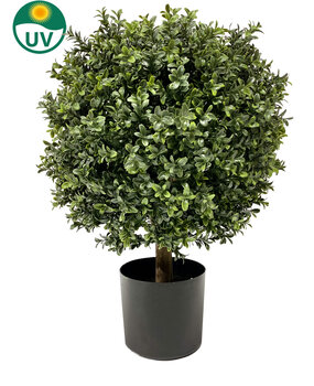 Greenmoods Kunstig Buksbom Ball På Stamme Romerstil 65cm