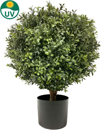 Greenmoods Kunstig Buksbom Ball På Stamme Romerstil 55cm