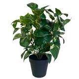 Greenmoods Kunstig Gullranke i Potte 40cm Greenmoods Kunstig Gullranke i Potte 40cm