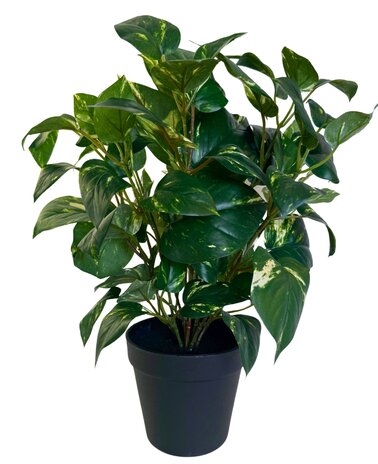 Greenmoods Kunstig Gullranke i Potte 40cm
