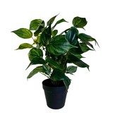 Greenmoods Kunstig Philodendrion i Potte 40cm Greenmoods Kunstig Philodendrion i Potte 40cm