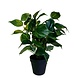 Greenmoods Kunstig Philodendrion i Potte 40cm