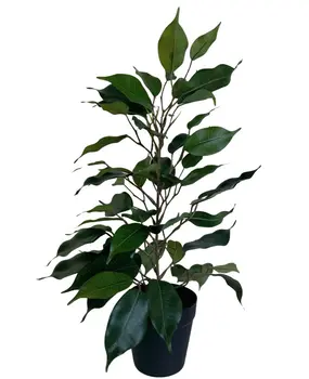 Greenmoods Kunstig Fikus i Potte 40cm Greenmoods Kunstig Fikus i Potte 40cm