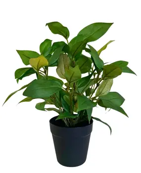 Greenmoods Kunstig "Husvandrer" i Potte 35cm Greenmoods Kunstig "Husvandrer" i Potte 35cm