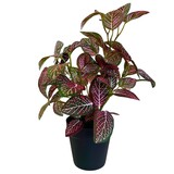 Greenmoods Kunstig Fittonia Rød i Potte 35cm Greenmoods Kunstig Fittonia Rød i Potte 35cm