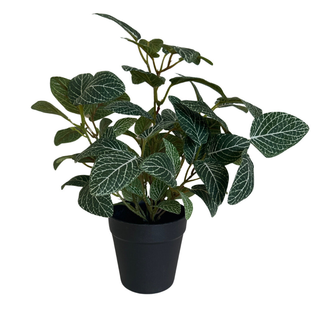 Greenmoods Kunstig Fittonia Grønnhvit i Potte 35cm