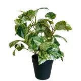 Greenmoods Kunstig Gullranke i Potte 35cm Greenmoods Kunstig Gullranke i Potte 35cm