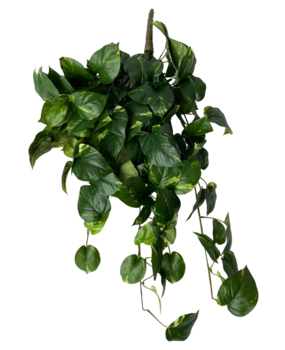 Greenmoods Kunstige Hengende Gullranke Deluxe 80cm Greenmoods Kunstige Hengende Gullranke Deluxe 80cm