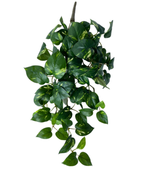 Greenmoods Kunstige Hengende Gullranke 60cm Greenmoods Kunstige Hengende Gullranke 60cm