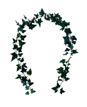 Greenmoods Kunstig Boston Eføy Girlander Grønn 180cm