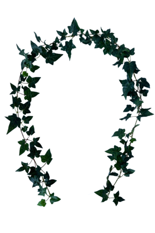 Greenmoods Kunstig Boston Eføy Girlander Grønn 180cm