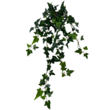 Greenmoods Kunstig Boston Eføy Grønn 100cm Greenmoods Kunstig Boston Eføy Grønn 100cm