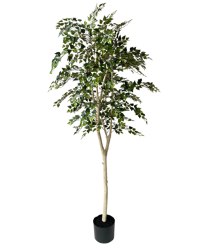 Greenmoods Kunstig Gråtende Bjørk 210cm Greenmoods Kunstig Gråtende Bjørk 210cm