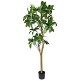 Greenmoods Kunstig Schefflera Gigant 200cm