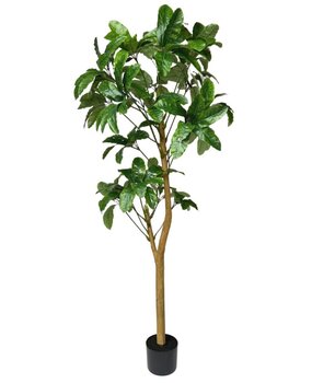 Greenmoods Kunstig Schefflera Gigant 200cm