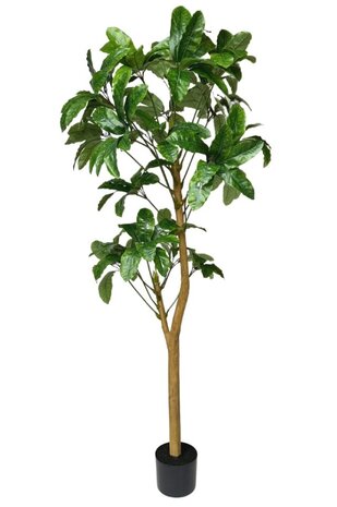 Greenmoods Kunstig Schefflera Gigant 200cm