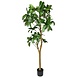 Greenmoods Kunstig Schefflera Gigant 200cm