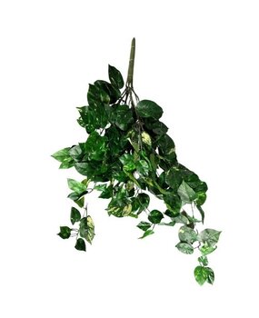 Greenmoods Kunstig Gullranke Brannsikker 80cm Greenmoods Kunstig Gullranke Brannsikker 80cm