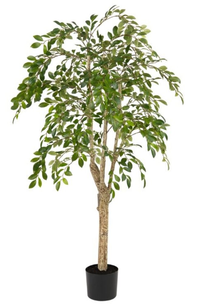 Greenmoods Kunstig Ruscus Tre 150cm