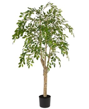 Greenmoods Kunstig Ruscus Tre 150cm Greenmoods Kunstig Ruscus Tre 150cm