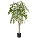 Greenmoods Kunstig Ruscus Tre 150cm