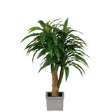 Greenmoods Kunstig Dracaena Tre i Sement Potte110cm Greenmoods Kunstig Dracaena Tre i Sement Potte110cm