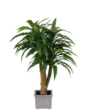 Greenmoods Kunstig Dracaena Tre i Sement Potte110cm Greenmoods Kunstig Dracaena Tre i Sement Potte110cm